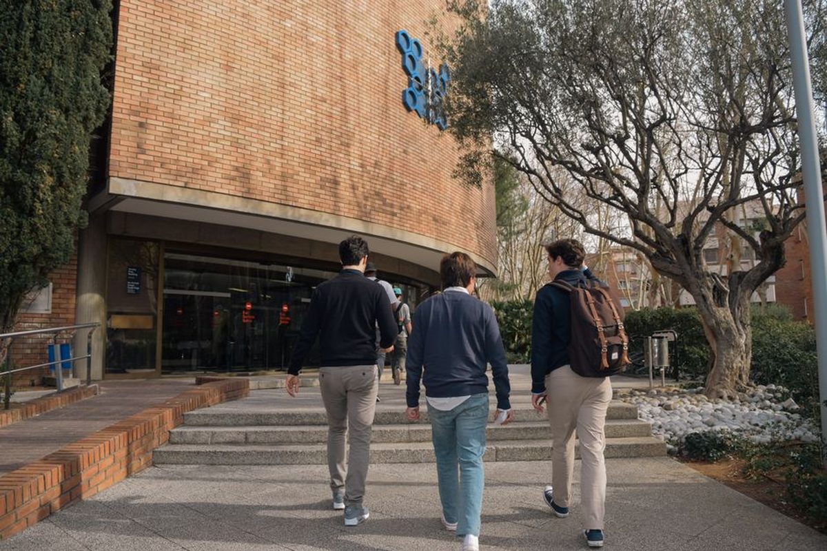 留学AI文书使用的留学决策与信息核验