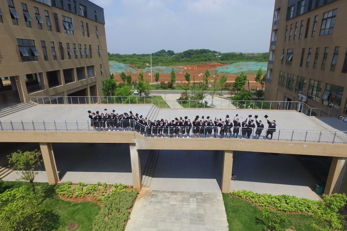 中国香港院校信息核验与留学决策资料